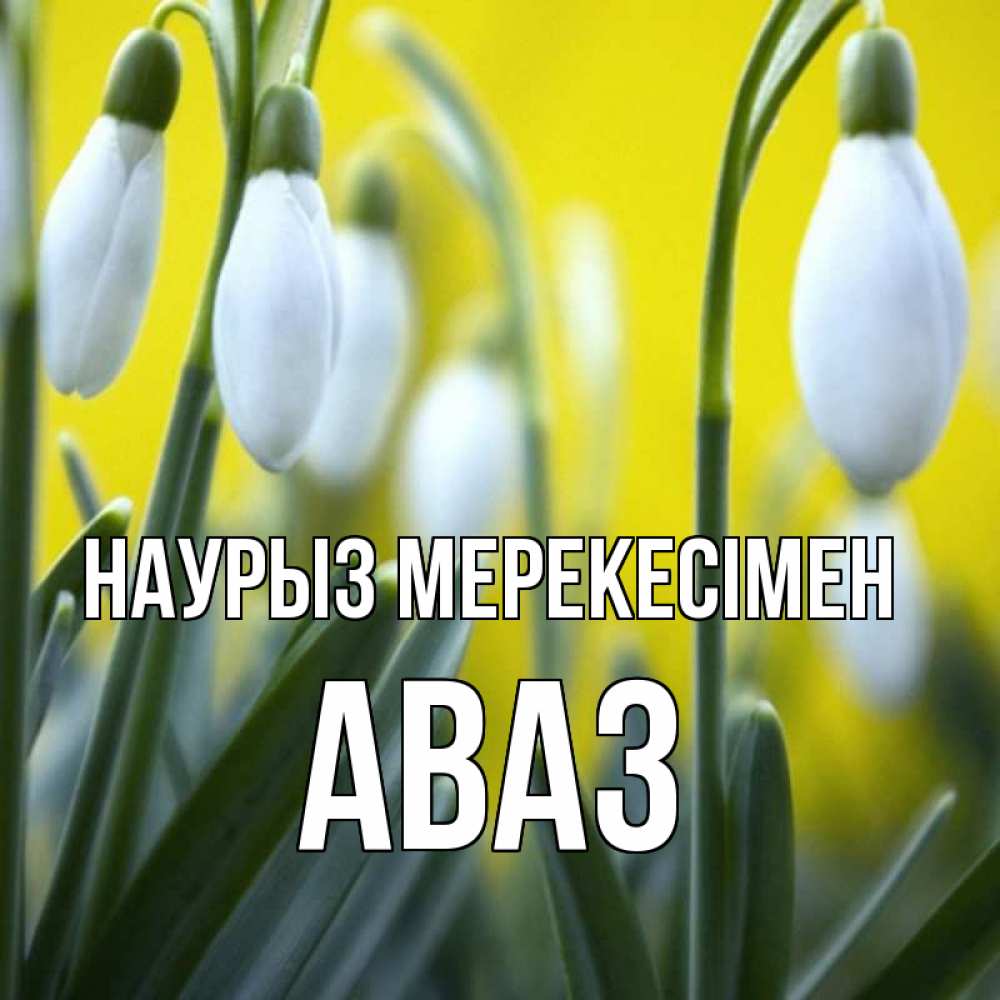 Күн сайын ашық хат с именем, Аваз Наурыз мерекесімен весенние цветы Онлайн тегін жүктеп алу тілектері бар керемет карта 