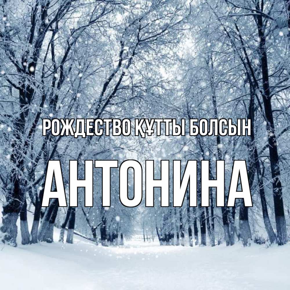 Күн сайын ашық хат с именем, Антонина Рождество құтты болсын снег, лес, парк Онлайн тегін жүктеп алу тілектері бар керемет карта 