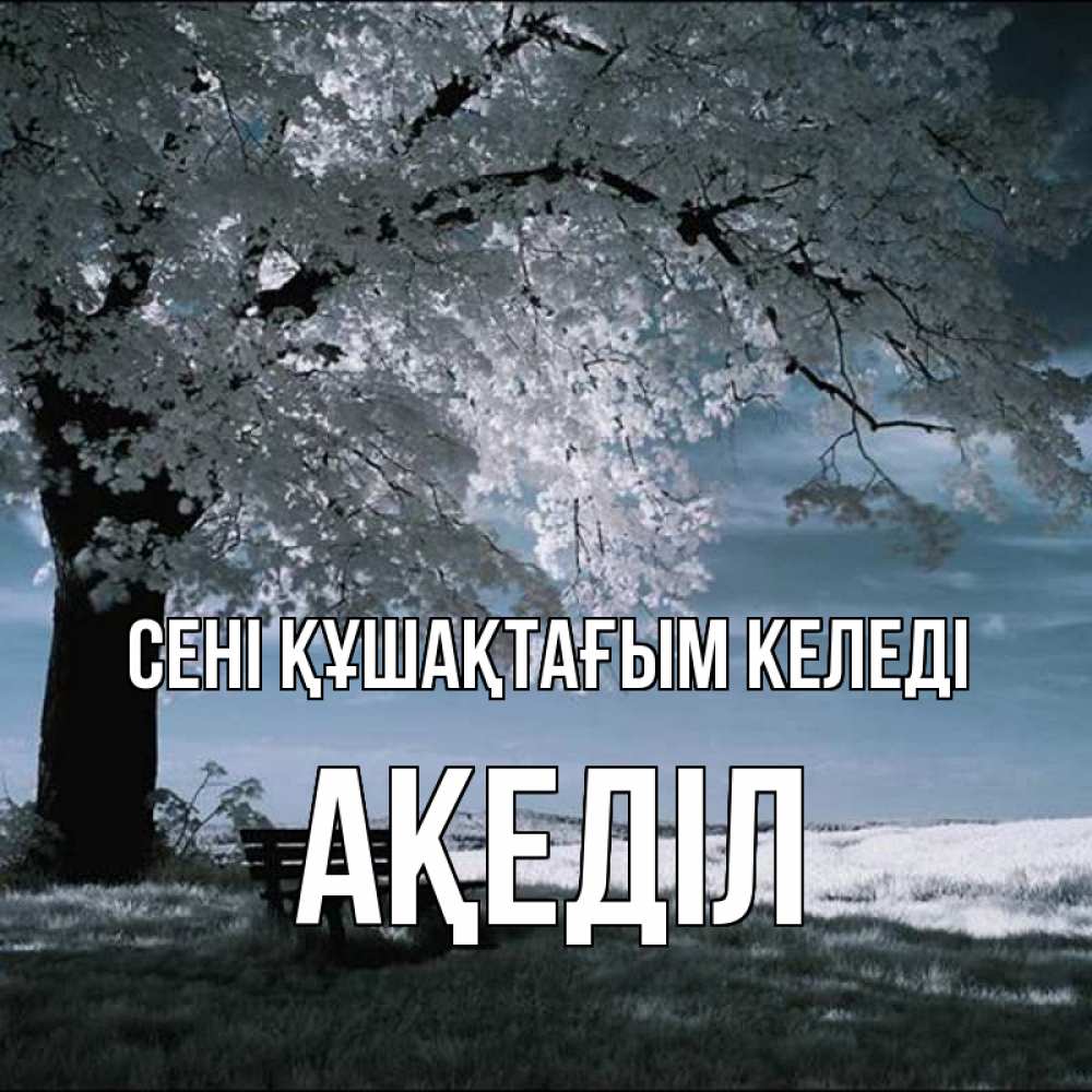 Күн сайын ашық хат с именем, Ақеділ сені құшақтағым келеді дерево Онлайн тегін жүктеп алу тілектері бар керемет карта 