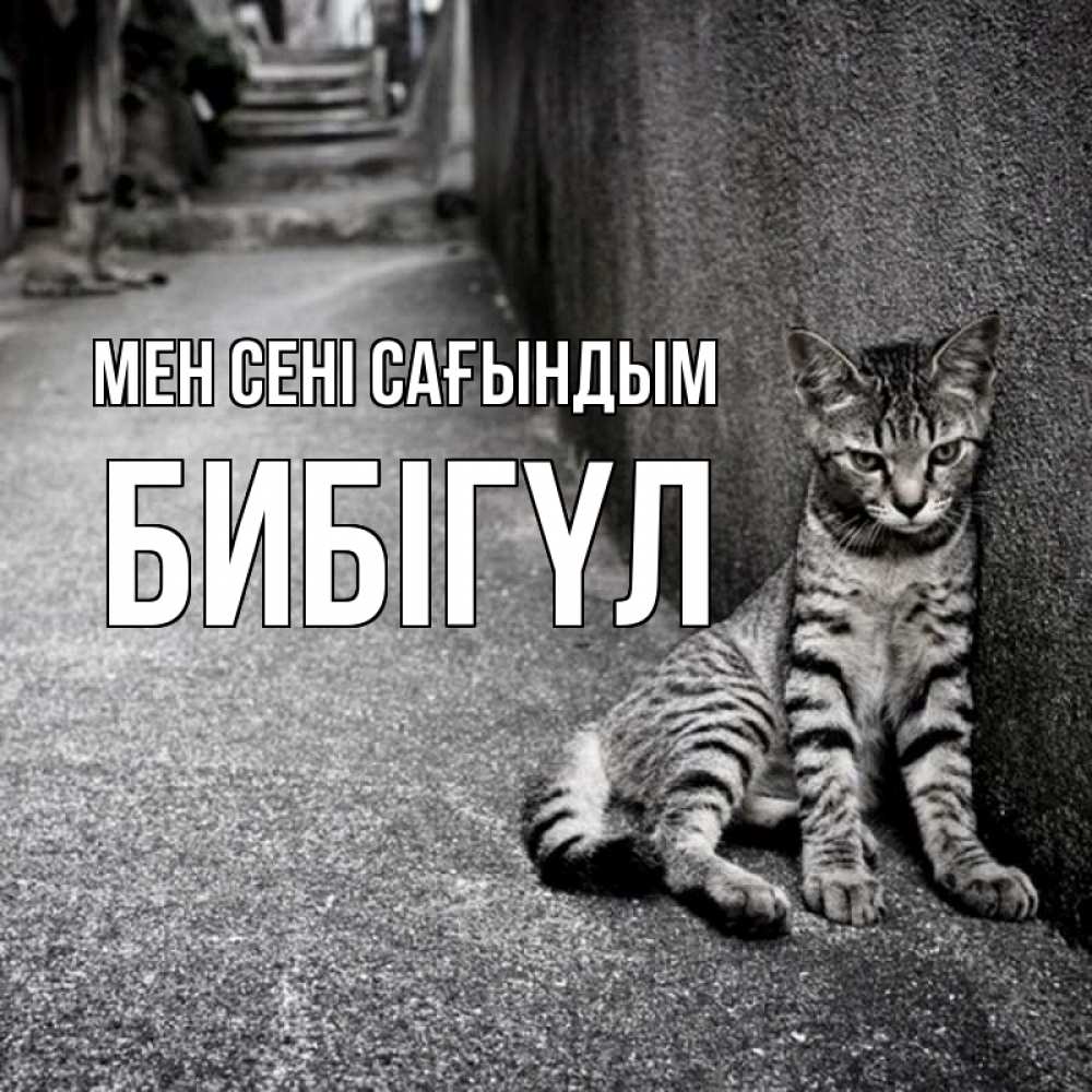 Күн сайын ашық хат с именем, БИБІГҮЛ Мен сені сағындым одиноко котику Онлайн тегін жүктеп алу тілектері бар керемет карта 