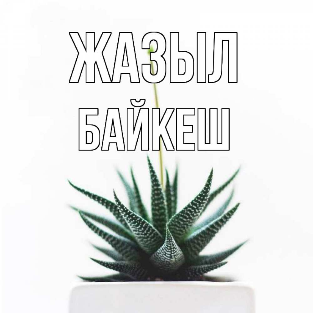Күн сайын ашық хат с именем, Байкеш Жазыл короче это непонятная колючка Онлайн тегін жүктеп алу тілектері бар керемет карта 