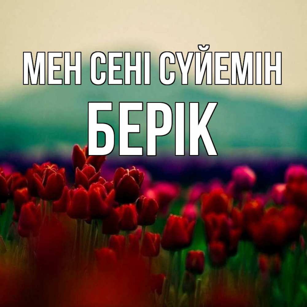 Күн сайын ашық хат с именем, Берік Мен сені сүйемін тюльпаны 4 Онлайн тегін жүктеп алу тілектері бар керемет карта 