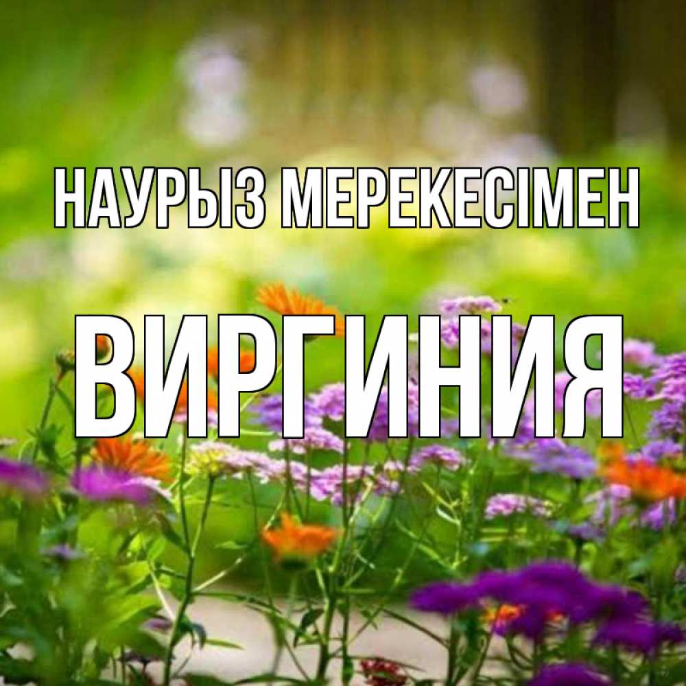 Күн сайын ашық хат с именем, Виргиния Наурыз мерекесімен цветы Онлайн тегін жүктеп алу тілектері бар керемет карта 