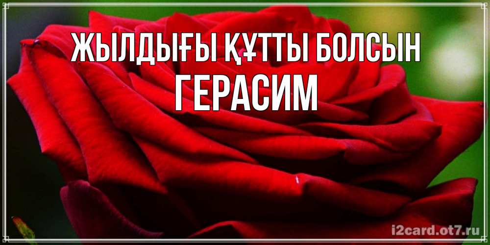 Күн сайын ашық хат с именем, Герасим Жылдығы құтты болсын розочка очень красивая Онлайн тегін жүктеп алу тілектері бар керемет карта 