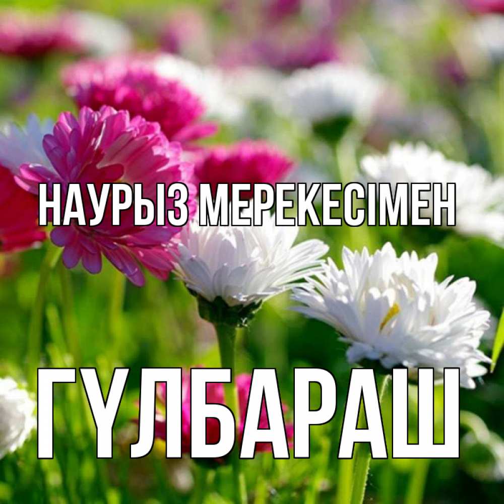 Күн сайын ашық хат с именем, ГҮЛБАРАШ Наурыз мерекесімен праздник весны наурыз красота Онлайн тегін жүктеп алу тілектері бар керемет карта 