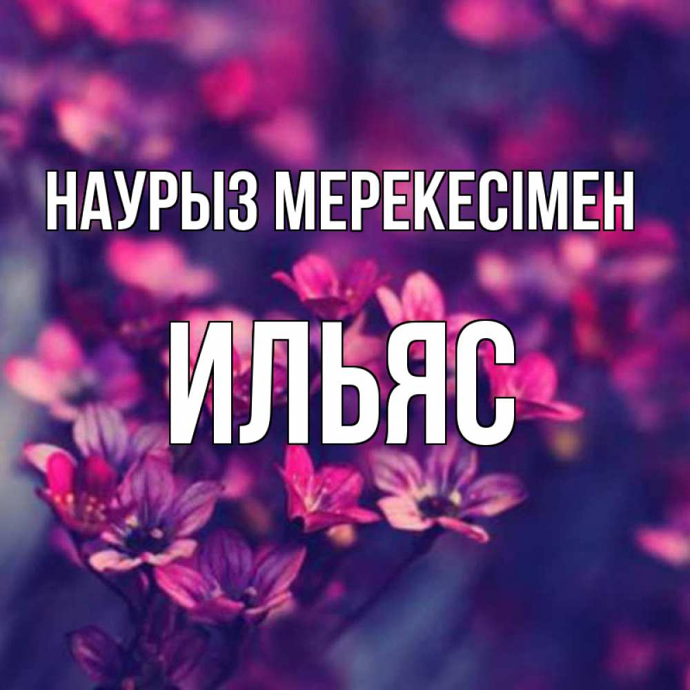 Күн сайын ашық хат с именем, Ильяс Наурыз мерекесімен небольшие цветы 1 Онлайн тегін жүктеп алу тілектері бар керемет карта 