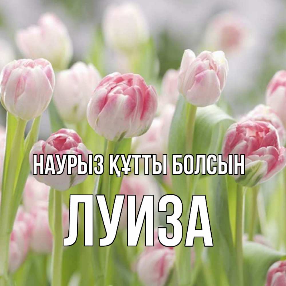 Күн сайын ашық хат с именем, Луиза Наурыз құтты болсын цветы Онлайн тегін жүктеп алу тілектері бар керемет карта 