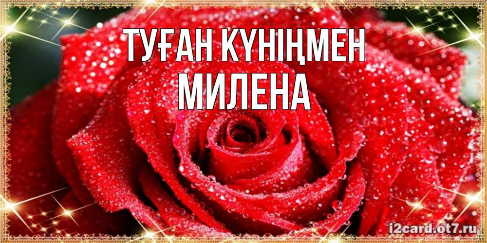 Күн сайын ашық хат с именем, Милена Туған күніңмен роса и роза. открытка с красивой розой Онлайн тегін жүктеп алу тілектері бар керемет карта 