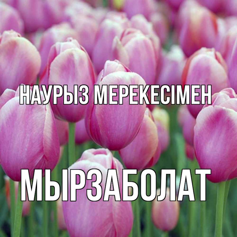 Күн сайын ашық хат с именем, Мырзаболат Наурыз мерекесімен праздник весны наурыз 69 Онлайн тегін жүктеп алу тілектері бар керемет карта 