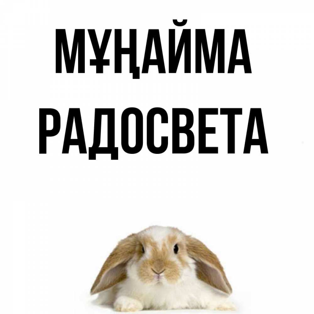 Күн сайын ашық хат с именем, Радосвета Мұңайма коричнево белый заяц с большими ушками Онлайн тегін жүктеп алу тілектері бар керемет карта 