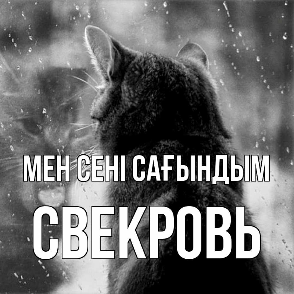 Күн сайын ашық хат с именем, Свекровь Мен сені сағындым скорее ко мне приходи 1 Онлайн тегін жүктеп алу тілектері бар керемет карта 