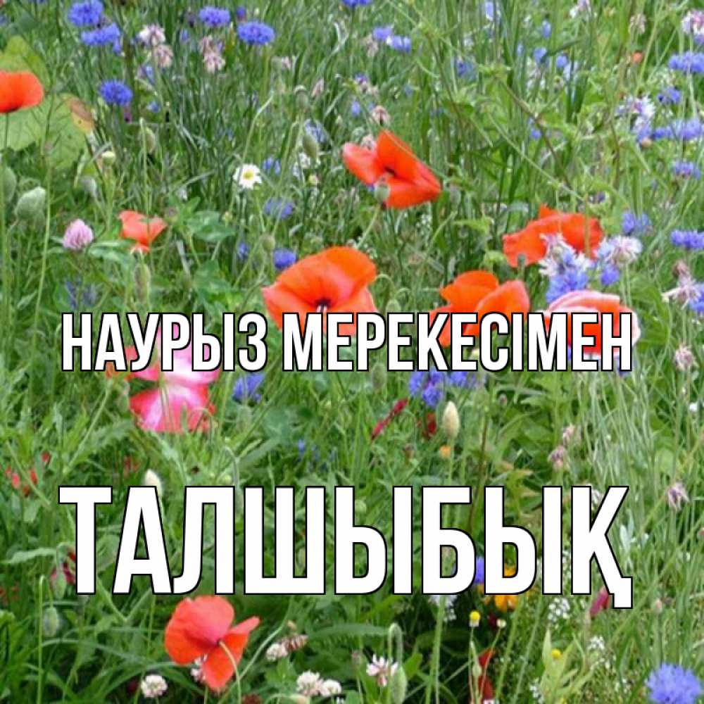 Күн сайын ашық хат с именем, ТАЛШЫБЫҚ Наурыз мерекесімен праздник весны наурыз супер открытка Онлайн тегін жүктеп алу тілектері бар керемет карта 