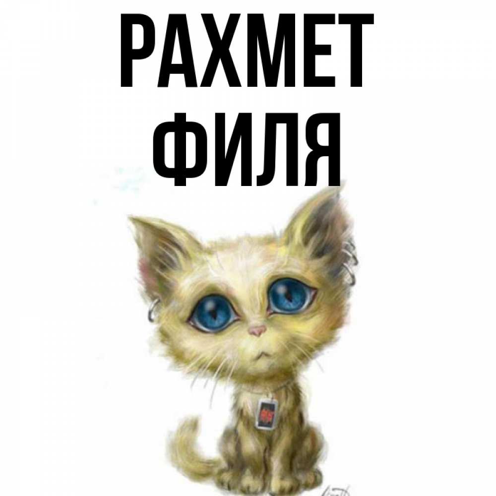 Күн сайын ашық хат с именем, Филя рахмет рисованный кот благодарит вас Онлайн тегін жүктеп алу тілектері бар керемет карта 