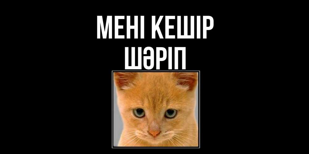 Күн сайын ашық хат с именем, ШӘРІП Мені кешір рыжий грустный кот просит прощения Онлайн тегін жүктеп алу тілектері бар керемет карта 
