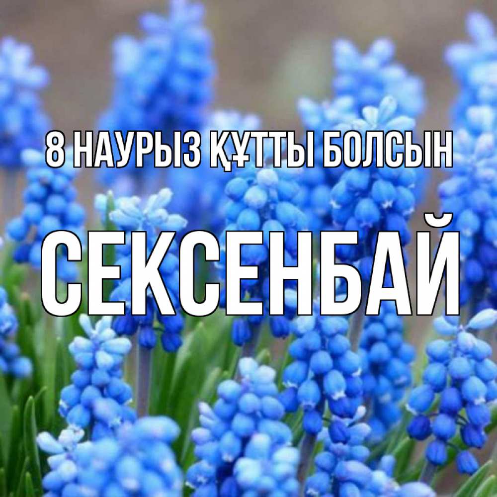 Күн сайын ашық хат с именем, СЕКСЕНБАЙ 8 наурыз құтты болсын Поздравительная открытка для женщин с цветами на праздничную дату Онлайн тегін жүктеп алу тілектері бар керемет карта 