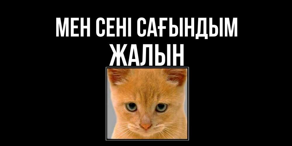 Күн сайын ашық хат с именем, Жалын Мен сені сағындым открытки рыжий котенок скучает по тебе Онлайн тегін жүктеп алу тілектері бар керемет карта 