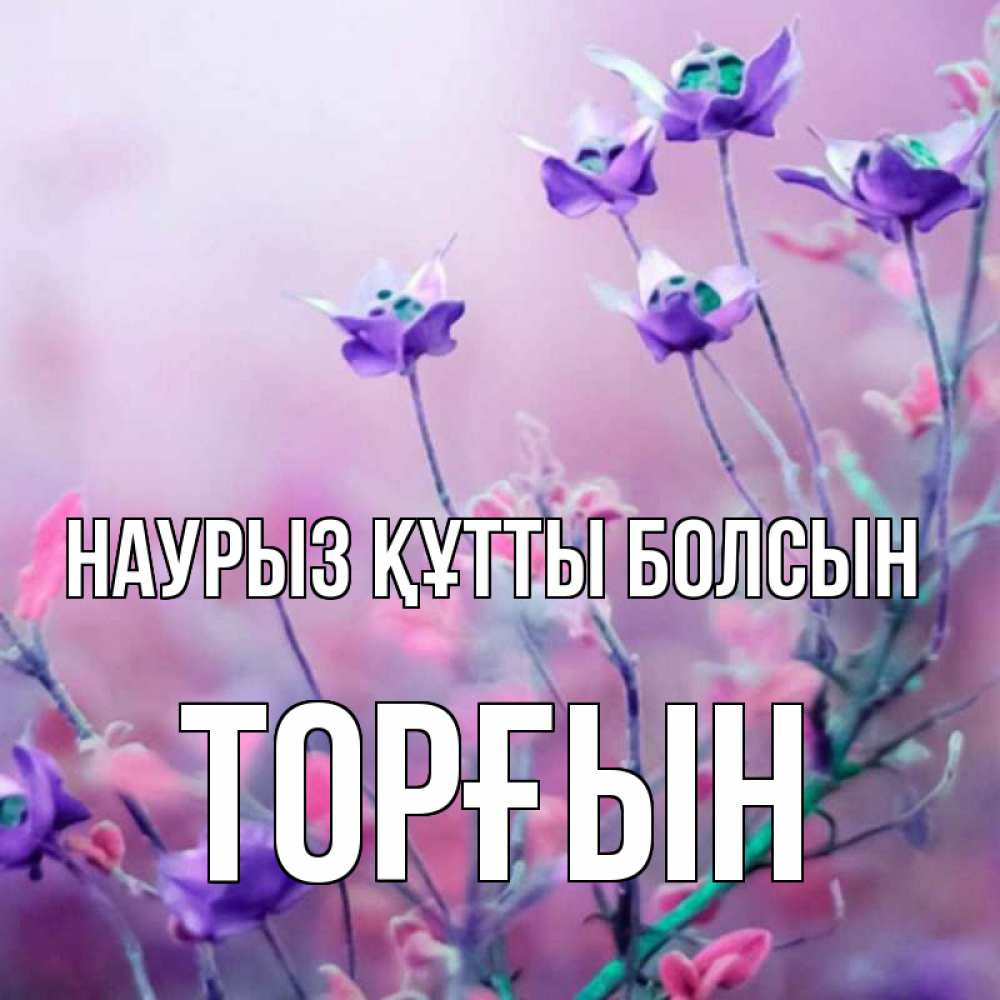 Күн сайын ашық хат с именем, ТОРҒЫН Наурыз құтты болсын наурыз  2 Онлайн тегін жүктеп алу тілектері бар керемет карта 