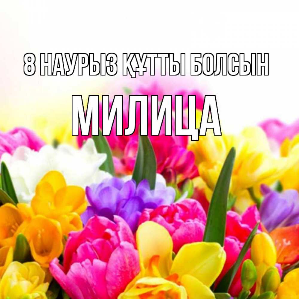 Күн сайын ашық хат с именем, Милица 8 наурыз құтты болсын тюльпаны Онлайн тегін жүктеп алу тілектері бар керемет карта 