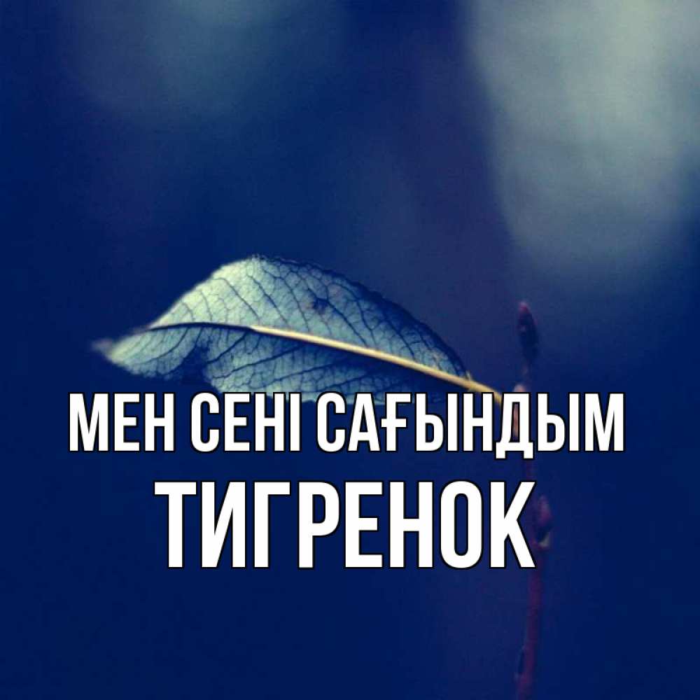 Күн сайын ашық хат с именем, Тигренок Мен сені сағындым одна ветка 1 Онлайн тегін жүктеп алу тілектері бар керемет карта 