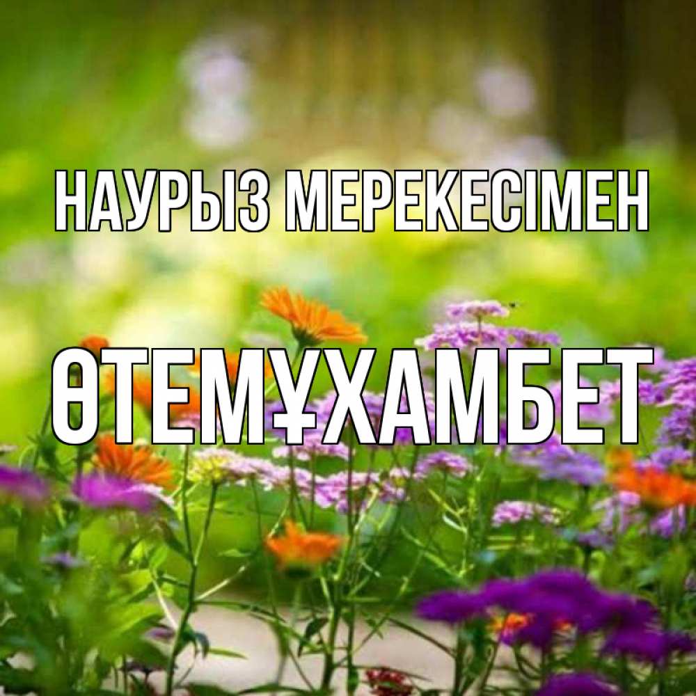 Күн сайын ашық хат с именем, ӨТЕМҰХАМБЕТ Наурыз мерекесімен цветы Онлайн тегін жүктеп алу тілектері бар керемет карта 