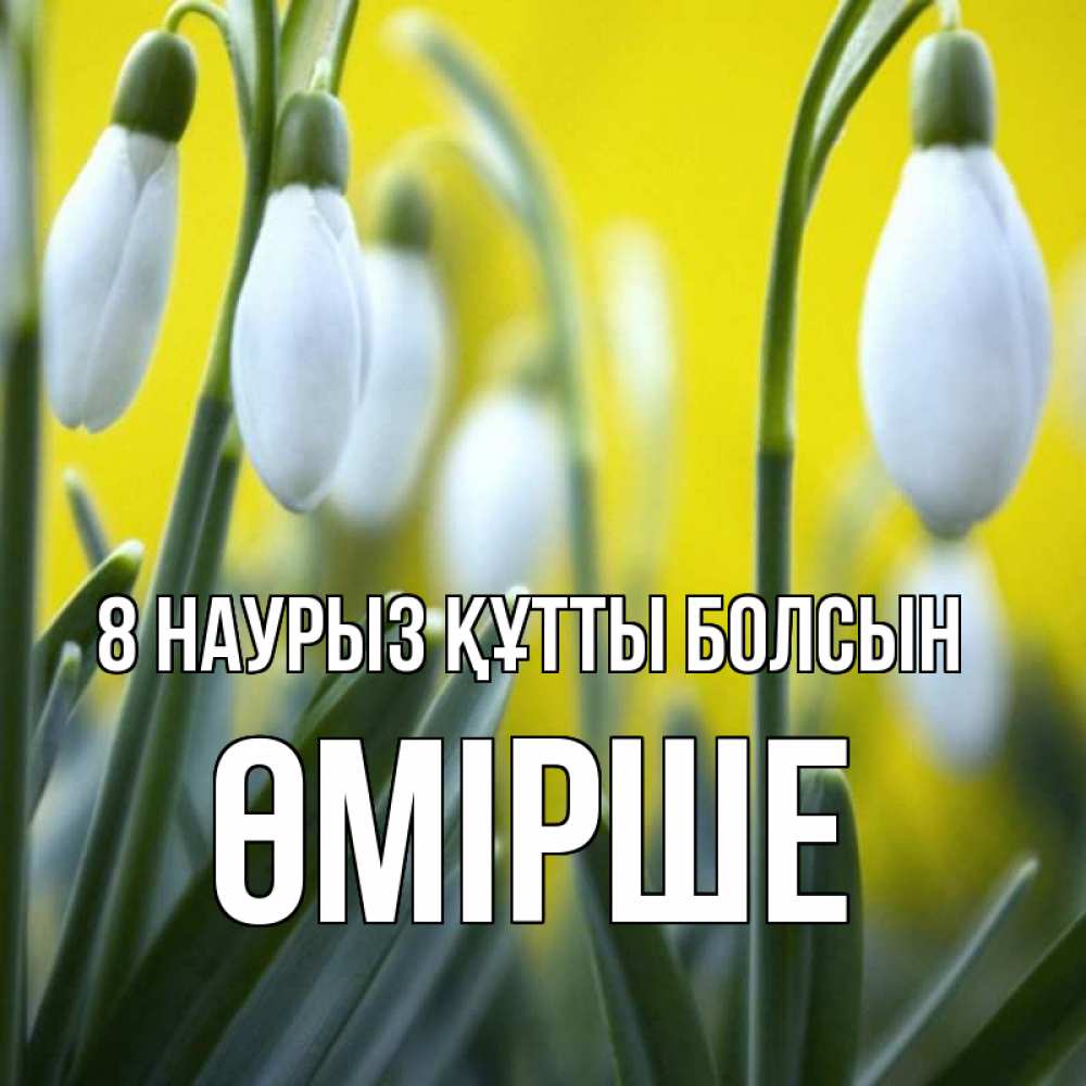 Күн сайын ашық хат с именем, ӨМІРШЕ 8 наурыз құтты болсын весенние цветы Онлайн тегін жүктеп алу тілектері бар керемет карта 
