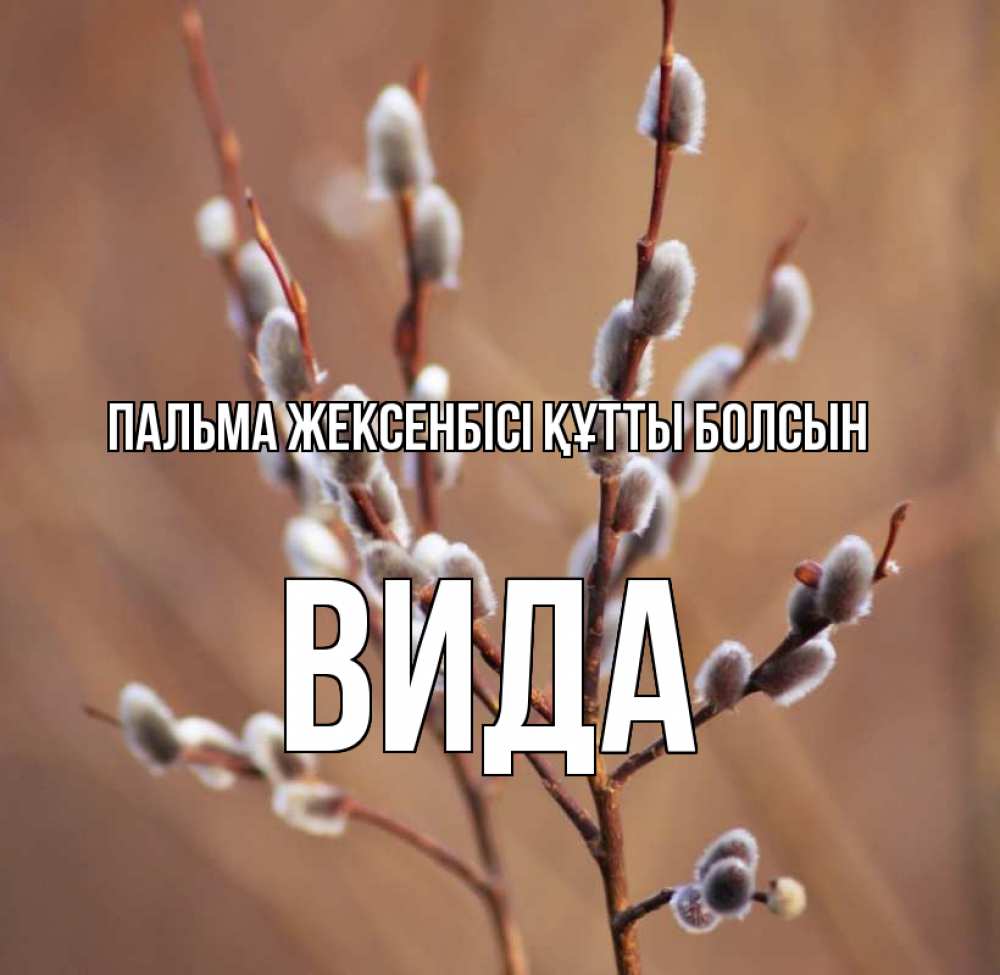 Күн сайын ашық хат с именем, Вида Пальма жексенбісі құтты болсын верба Онлайн тегін жүктеп алу тілектері бар керемет карта 