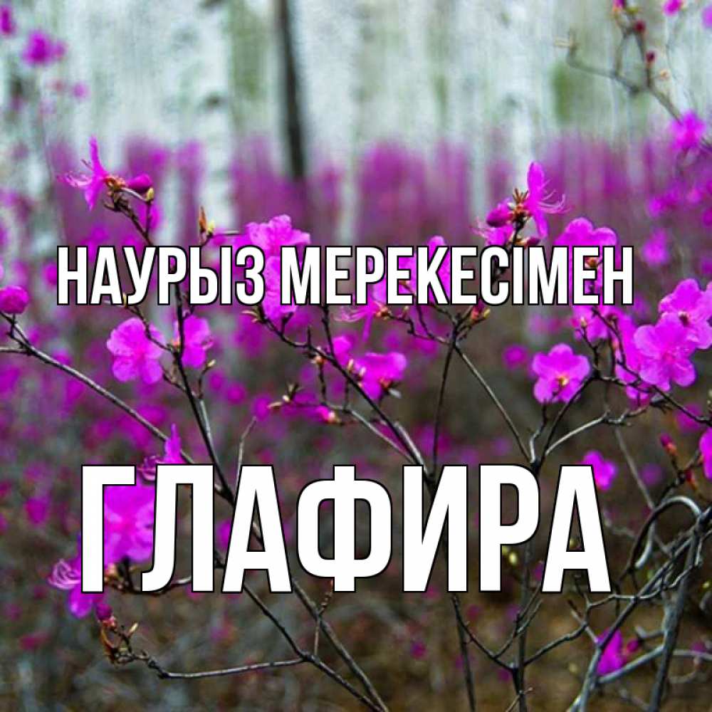 Күн сайын ашық хат с именем, Глафира Наурыз мерекесімен дикие цветы Онлайн тегін жүктеп алу тілектері бар керемет карта 
