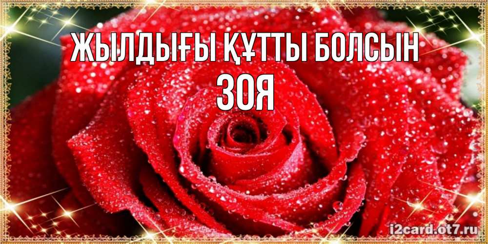 Күн сайын ашық хат с именем, Зоя Жылдығы құтты болсын роса и роза. открытка с красивой розой Онлайн тегін жүктеп алу тілектері бар керемет карта 