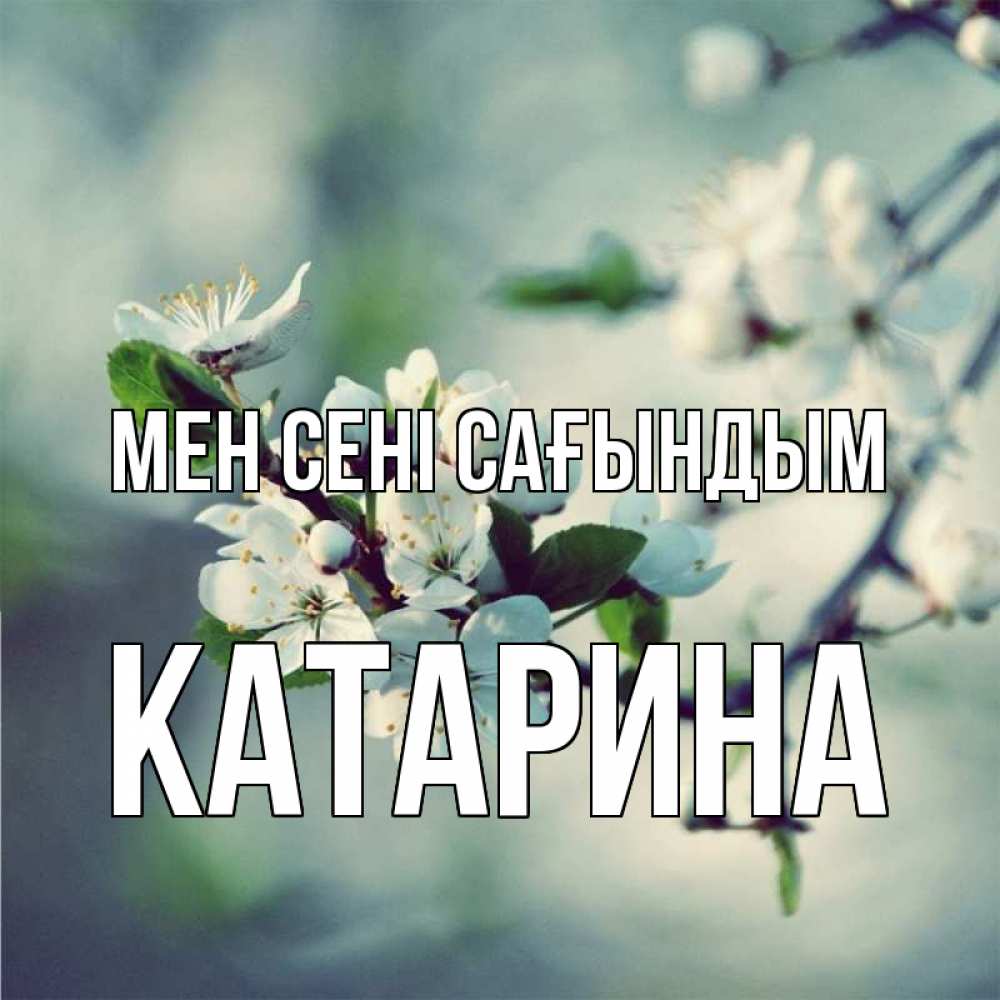 Күн сайын ашық хат с именем, Катарина Мен сені сағындым весна Онлайн тегін жүктеп алу тілектері бар керемет карта 