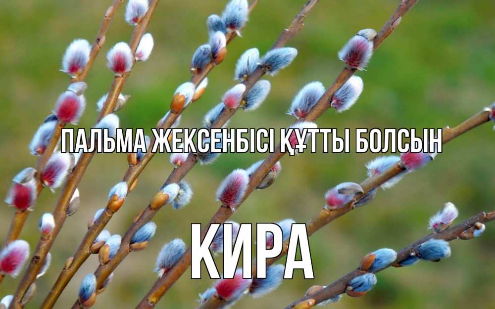 Күн сайын ашық хат с именем, Кира Пальма жексенбісі құтты болсын верба Онлайн тегін жүктеп алу тілектері бар керемет карта 
