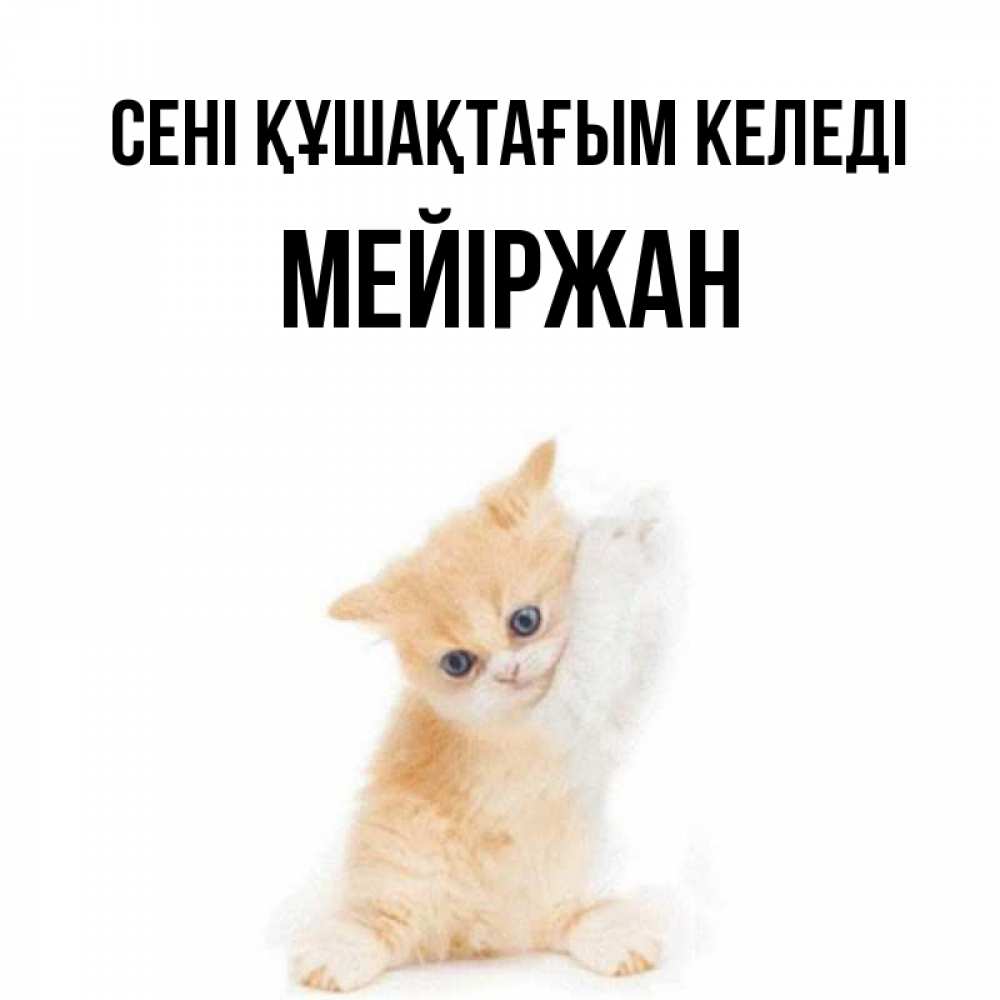 Күн сайын ашық хат с именем, МЕЙІРЖАН сені құшақтағым келеді я хочу очень скорее обнимаешек Онлайн тегін жүктеп алу тілектері бар керемет карта 