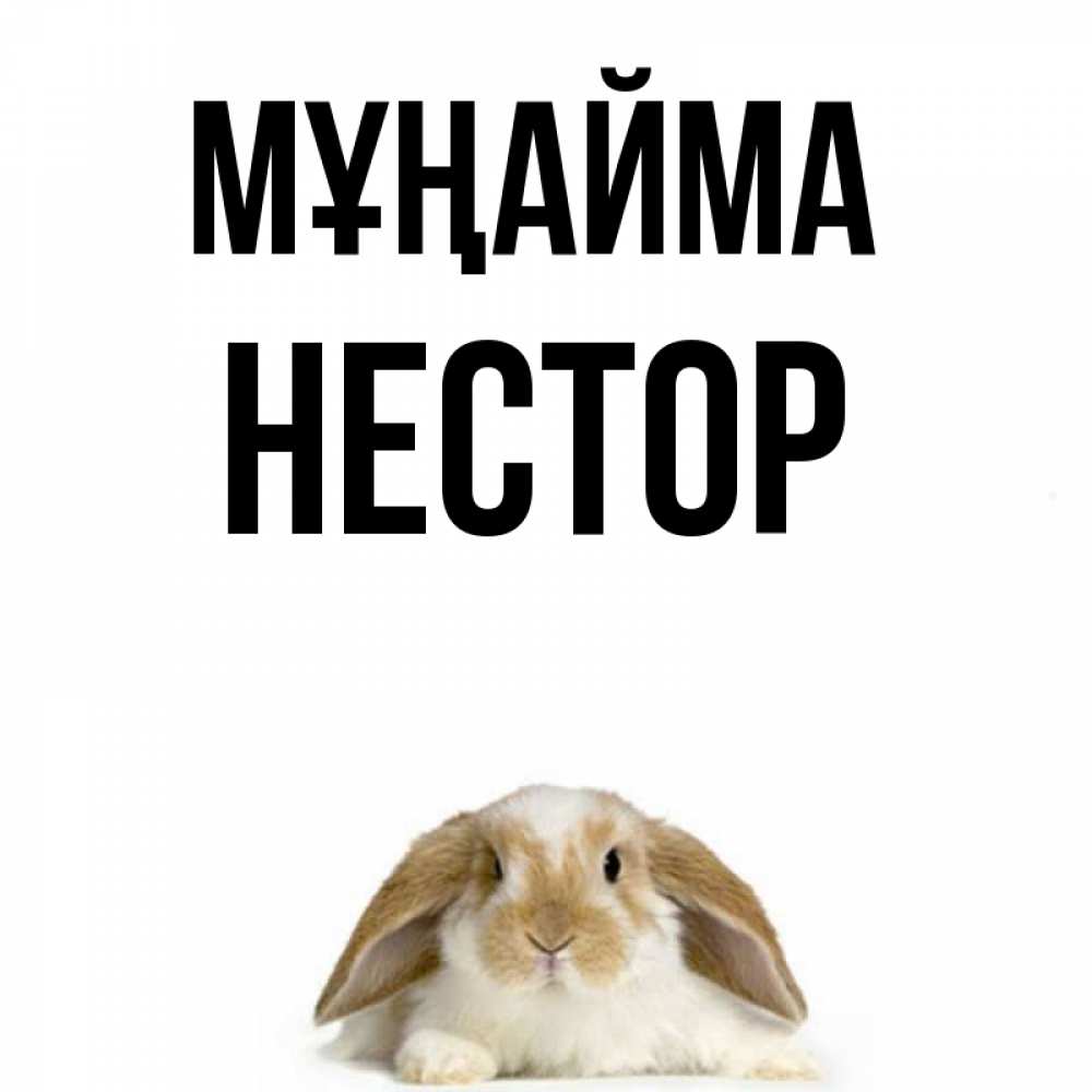 Күн сайын ашық хат с именем, Нестор Мұңайма коричнево белый заяц с большими ушками Онлайн тегін жүктеп алу тілектері бар керемет карта 