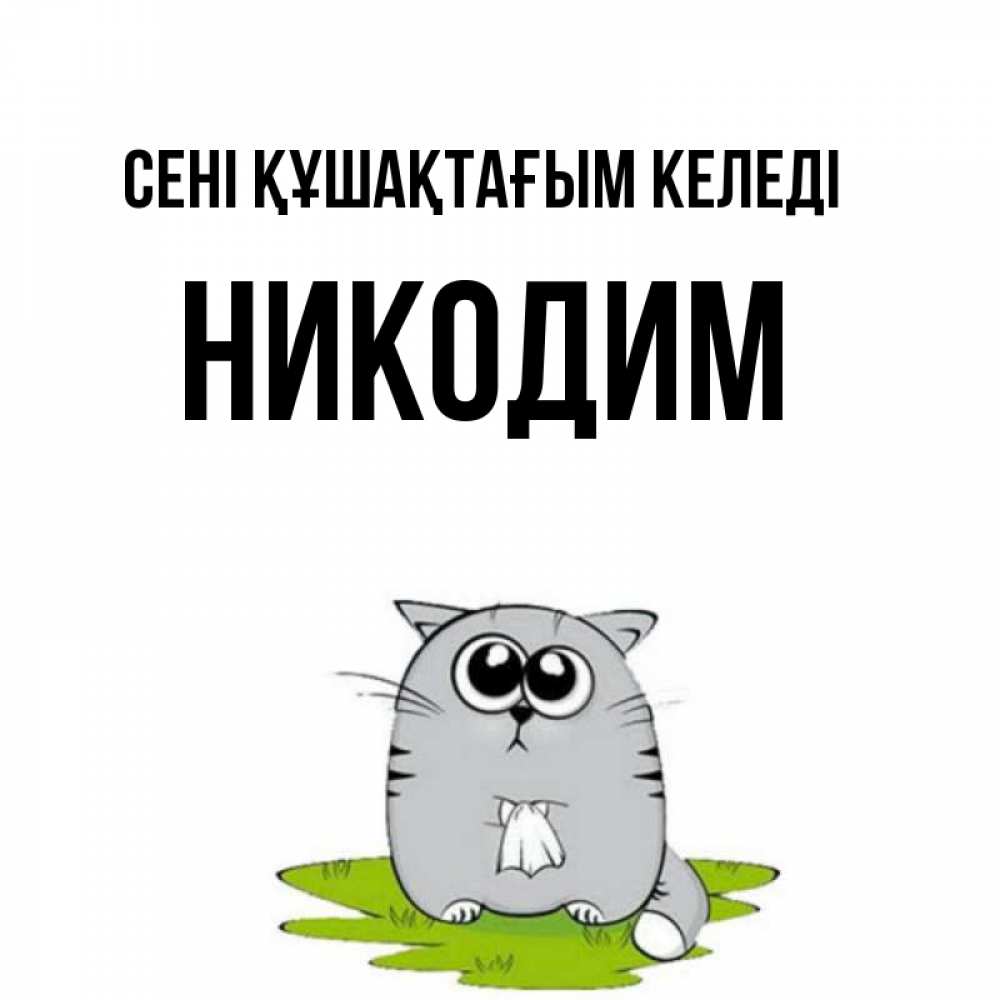 Күн сайын ашық хат с именем, Никодим сені құшақтағым келеді котик теребит платочек сидя на травке Онлайн тегін жүктеп алу тілектері бар керемет карта 