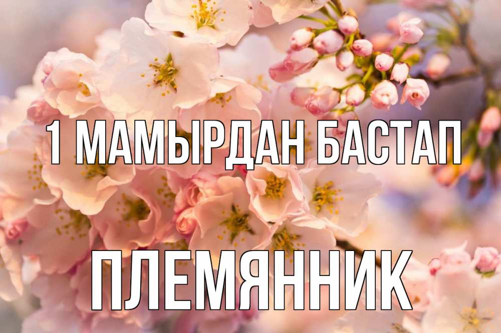 Күн сайын ашық хат с именем, Племянник 1 мамырдан бастап С 1 мая Онлайн тегін жүктеп алу тілектері бар керемет карта 
