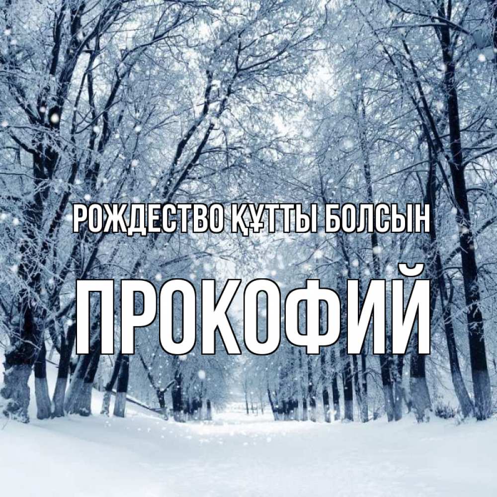 Күн сайын ашық хат с именем, Прокофий Рождество құтты болсын снег, лес, парк Онлайн тегін жүктеп алу тілектері бар керемет карта 
