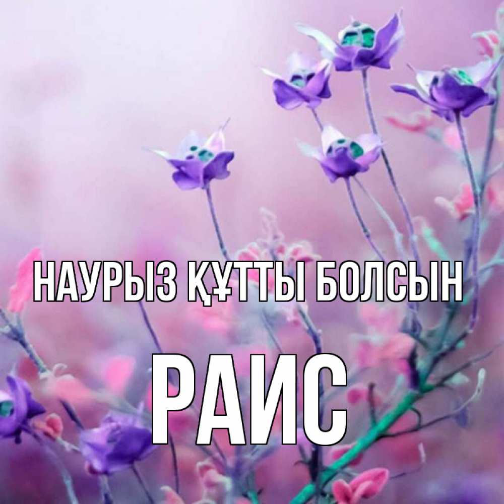 Күн сайын ашық хат с именем, Раис Наурыз құтты болсын наурыз  2 Онлайн тегін жүктеп алу тілектері бар керемет карта 