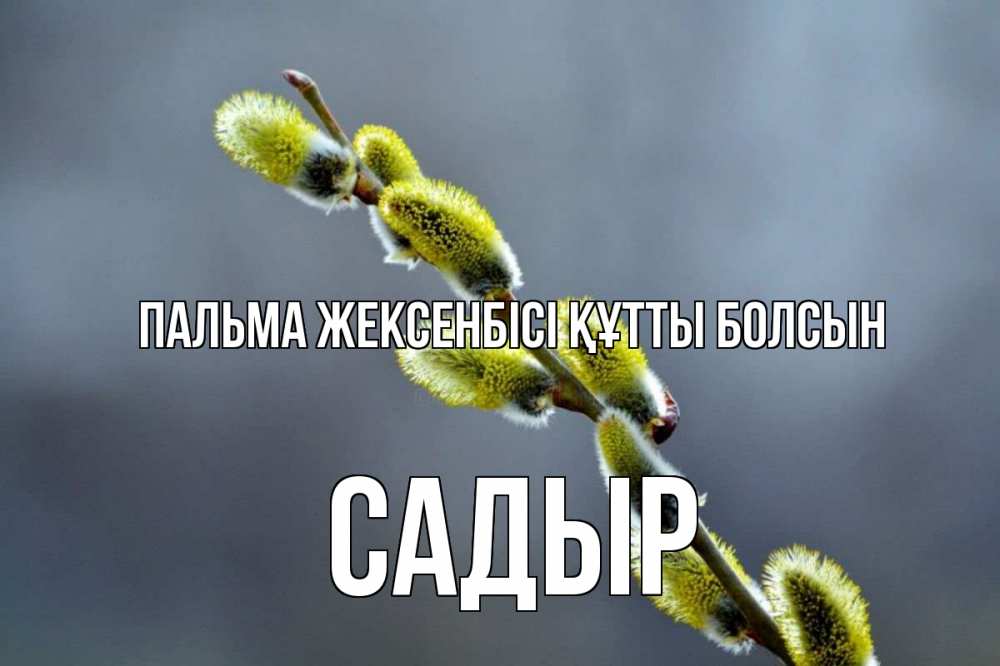 Күн сайын ашық хат с именем, САДЫР Пальма жексенбісі құтты болсын верба Онлайн тегін жүктеп алу тілектері бар керемет карта 