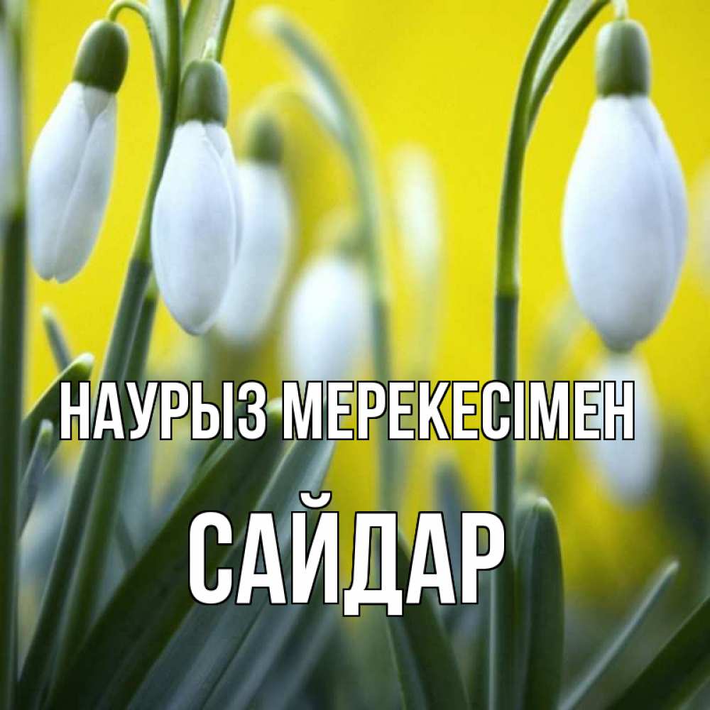 Күн сайын ашық хат с именем, САЙДАР Наурыз мерекесімен весенние цветы Онлайн тегін жүктеп алу тілектері бар керемет карта 