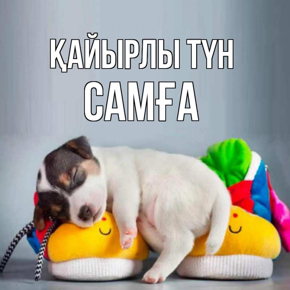 Күн сайын ашық хат с именем, САМҒА Қайырлы түн собачка Онлайн тегін жүктеп алу тілектері бар керемет карта 