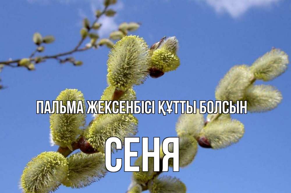 Күн сайын ашық хат с именем, Сеня Пальма жексенбісі құтты болсын верба Онлайн тегін жүктеп алу тілектері бар керемет карта 