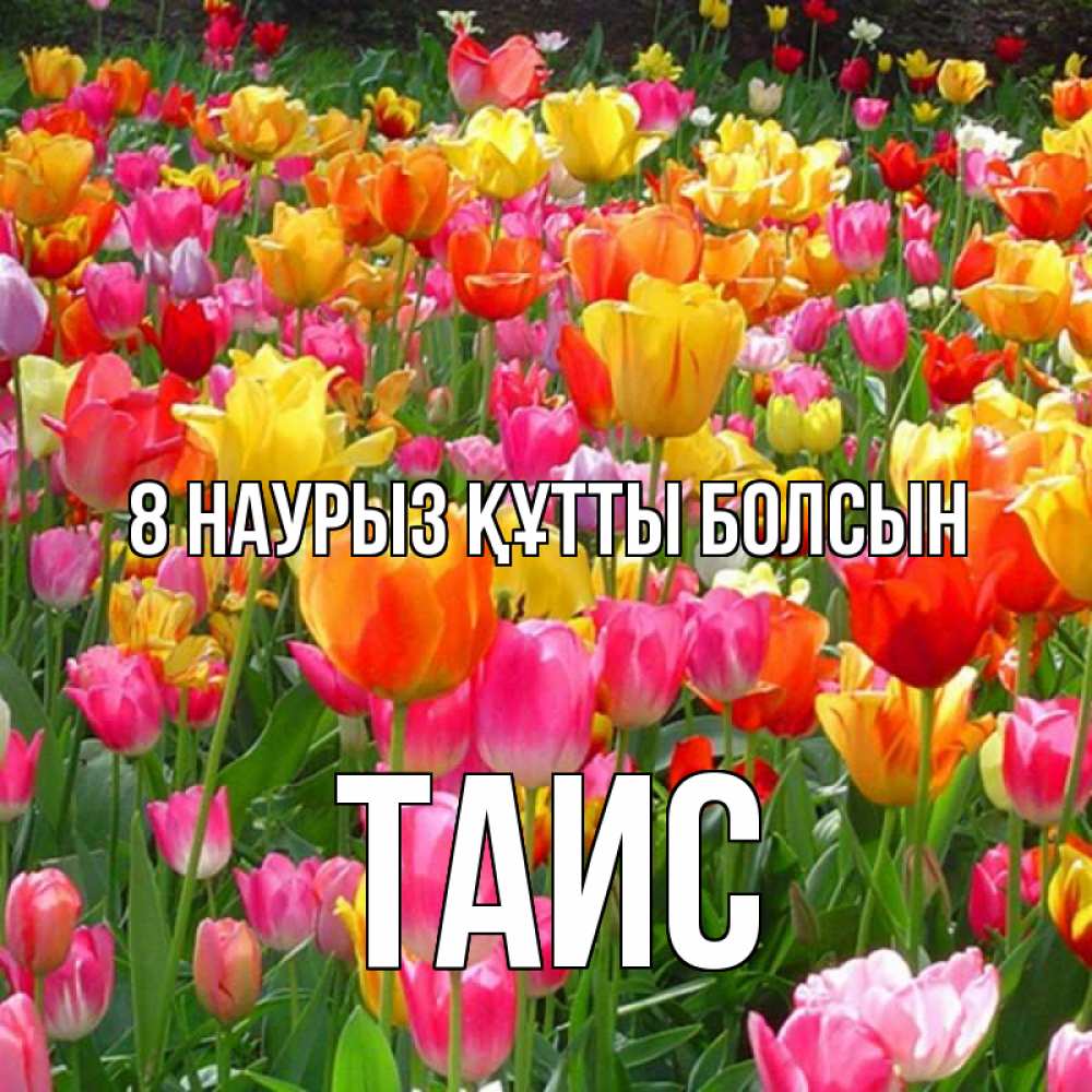 Күн сайын ашық хат с именем, Таис 8 наурыз құтты болсын на международный женский день Онлайн тегін жүктеп алу тілектері бар керемет карта 