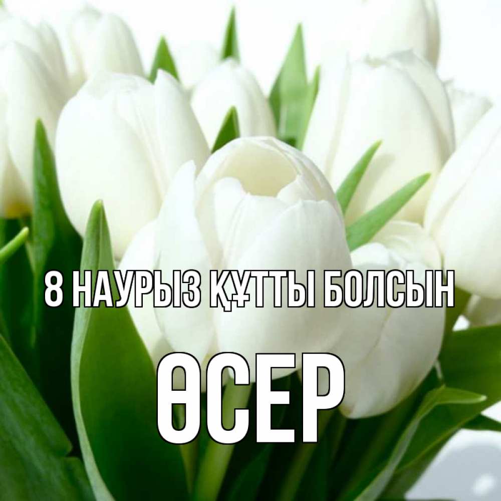 Күн сайын ашық хат с именем, ӨСЕР 8 наурыз құтты болсын цветы Онлайн тегін жүктеп алу тілектері бар керемет карта 