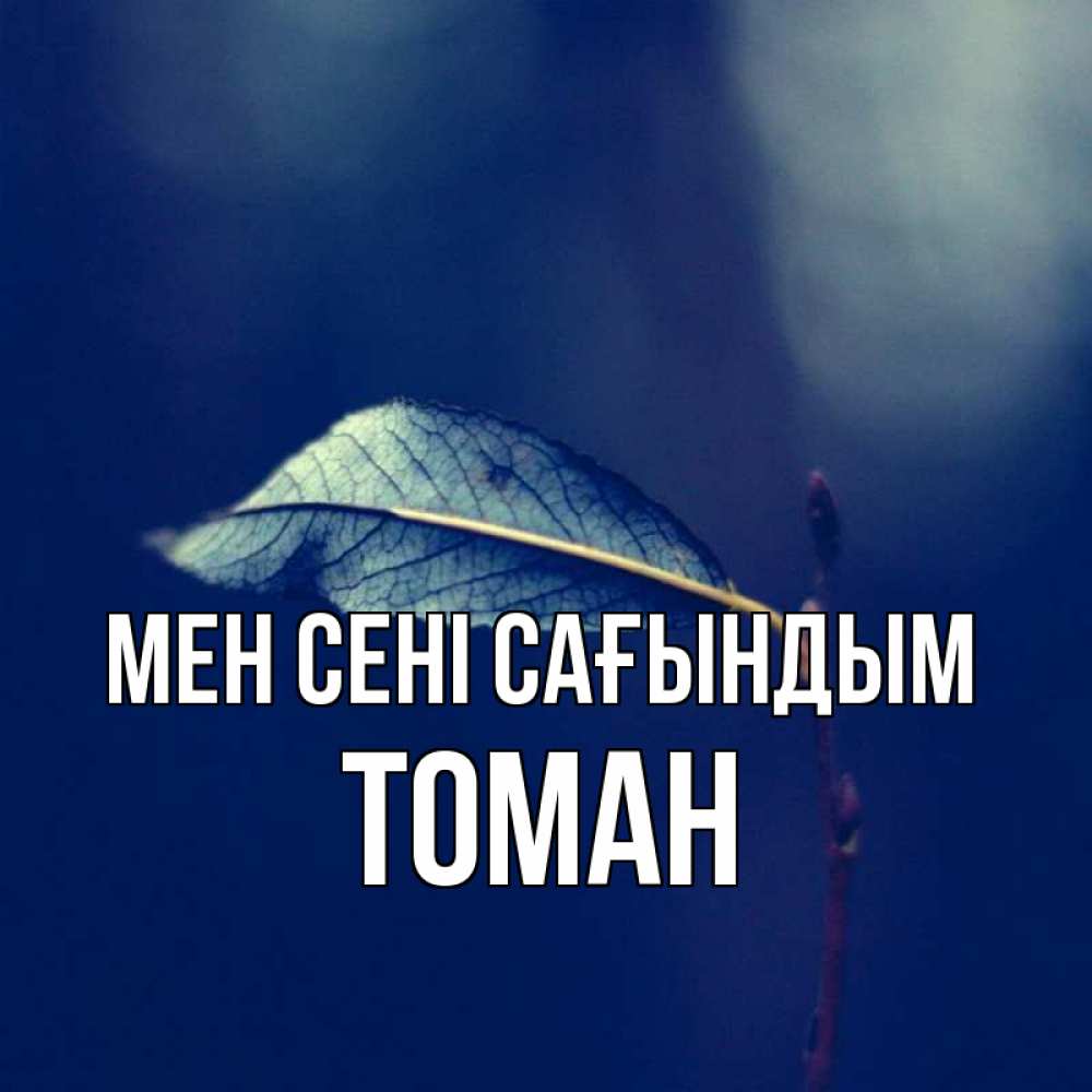 Күн сайын ашық хат с именем, ТОМАН Мен сені сағындым одна ветка 1 Онлайн тегін жүктеп алу тілектері бар керемет карта 