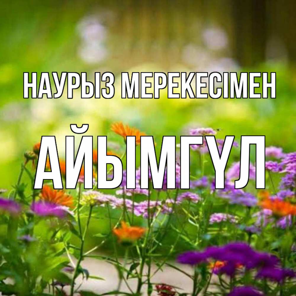Күн сайын ашық хат с именем, АЙЫМГҮЛ Наурыз мерекесімен цветы Онлайн тегін жүктеп алу тілектері бар керемет карта 