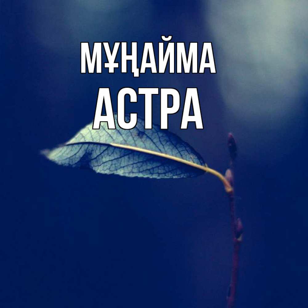Күн сайын ашық хат с именем, Астра Мұңайма растение Онлайн тегін жүктеп алу тілектері бар керемет карта 