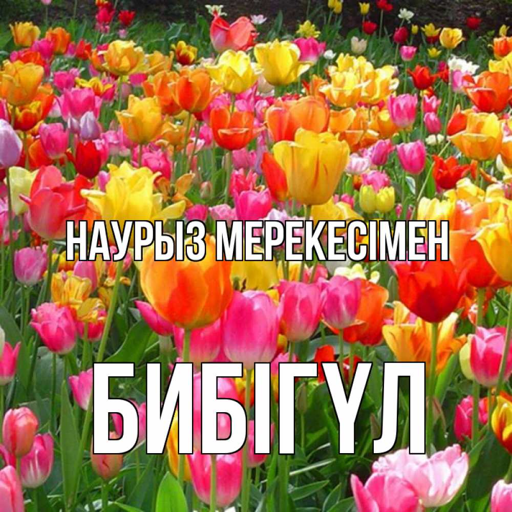 Күн сайын ашық хат с именем, БИБІГҮЛ Наурыз мерекесімен праздник весны наурыз 4 Онлайн тегін жүктеп алу тілектері бар керемет карта 