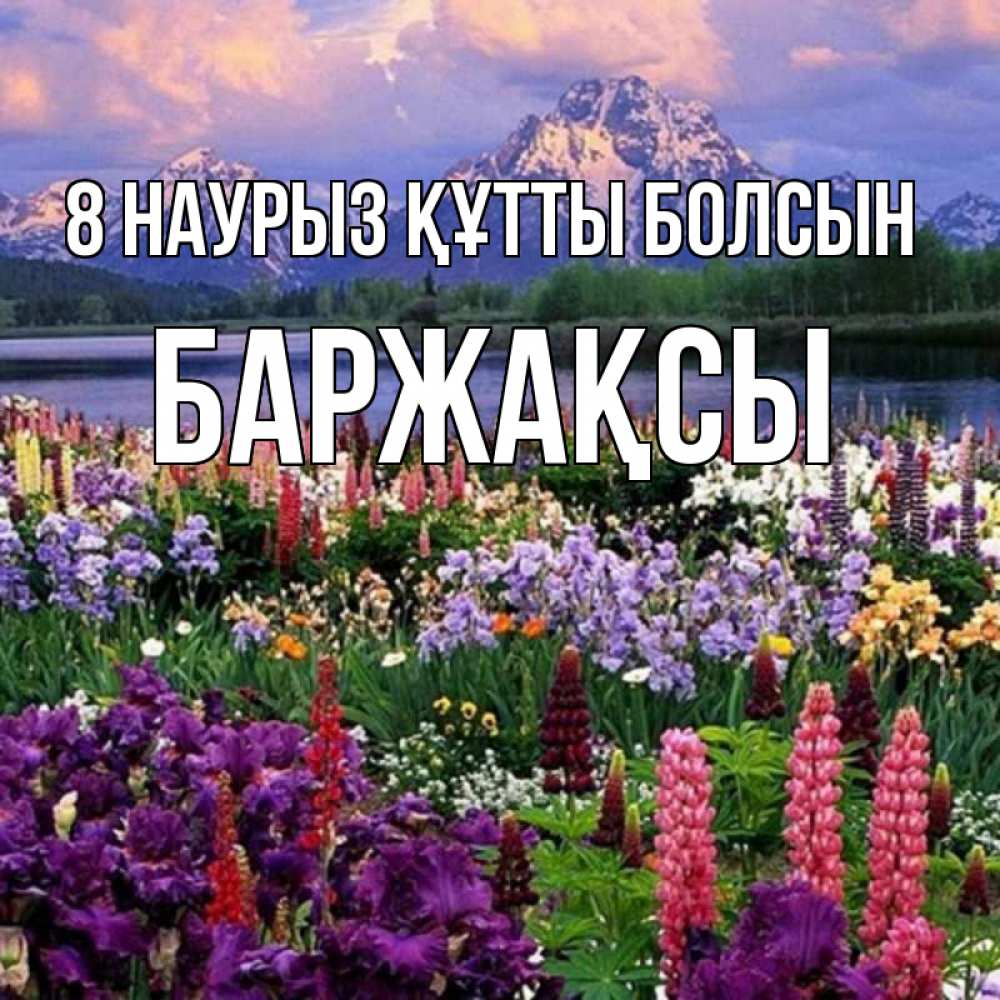 Күн сайын ашық хат с именем, Баржақсы 8 наурыз құтты болсын международный женский день Онлайн тегін жүктеп алу тілектері бар керемет карта 