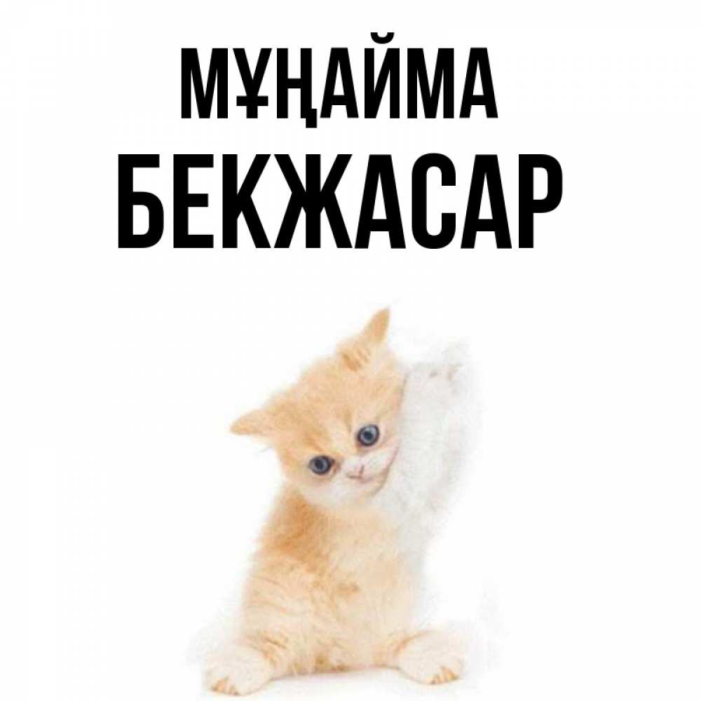 Күн сайын ашық хат с именем, Бекжасар Мұңайма просящий кот Онлайн тегін жүктеп алу тілектері бар керемет карта 