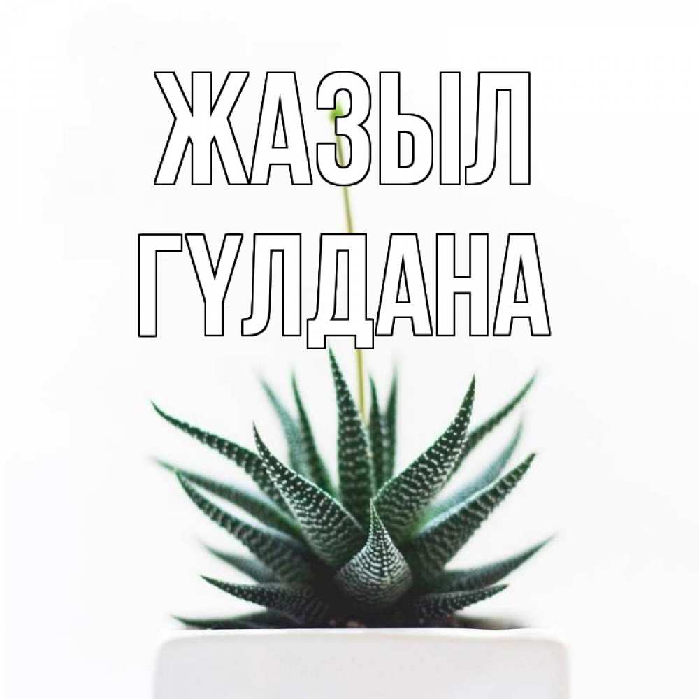 Күн сайын ашық хат с именем, ГҮЛДАНА Жазыл короче это непонятная колючка Онлайн тегін жүктеп алу тілектері бар керемет карта 