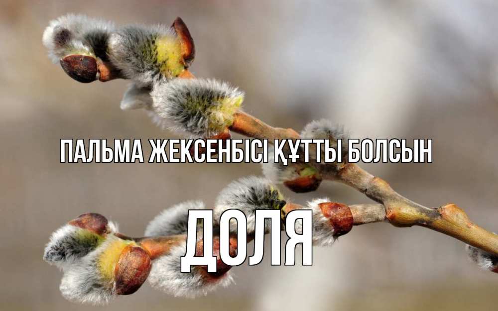 Күн сайын ашық хат с именем, Доля Пальма жексенбісі құтты болсын Верба Онлайн тегін жүктеп алу тілектері бар керемет карта 